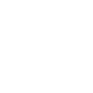icon hethong1